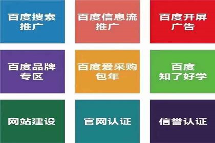 SEM托管案例分析：品牌如何快速崛起